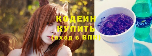 шишки Балахна