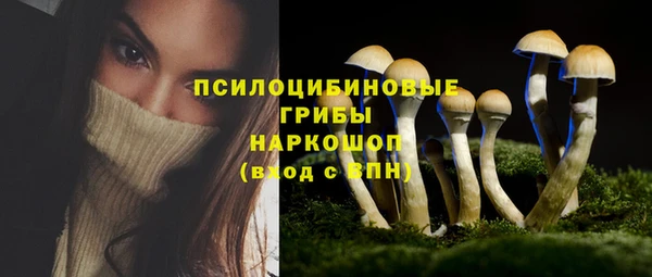 шишки Балахна