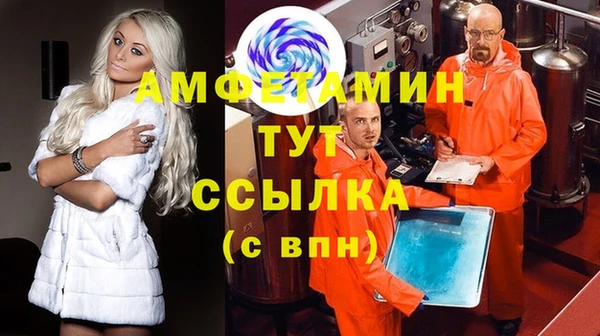 шишки Балахна